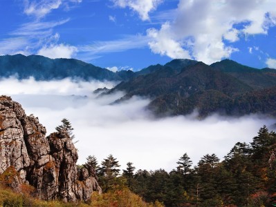 福州神农架：秘境之旅，云海奇观，草原牧歌，探寻世外桃源